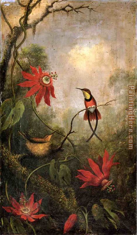 Martin Johnson Heade Passion Flowers and Hummingbirds 2